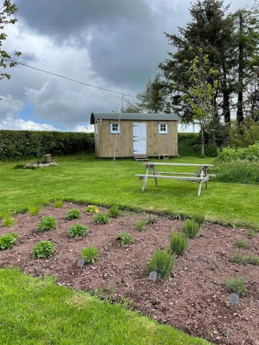Shepherds Hut - Brecon Beacons Llangadog Exterior photo